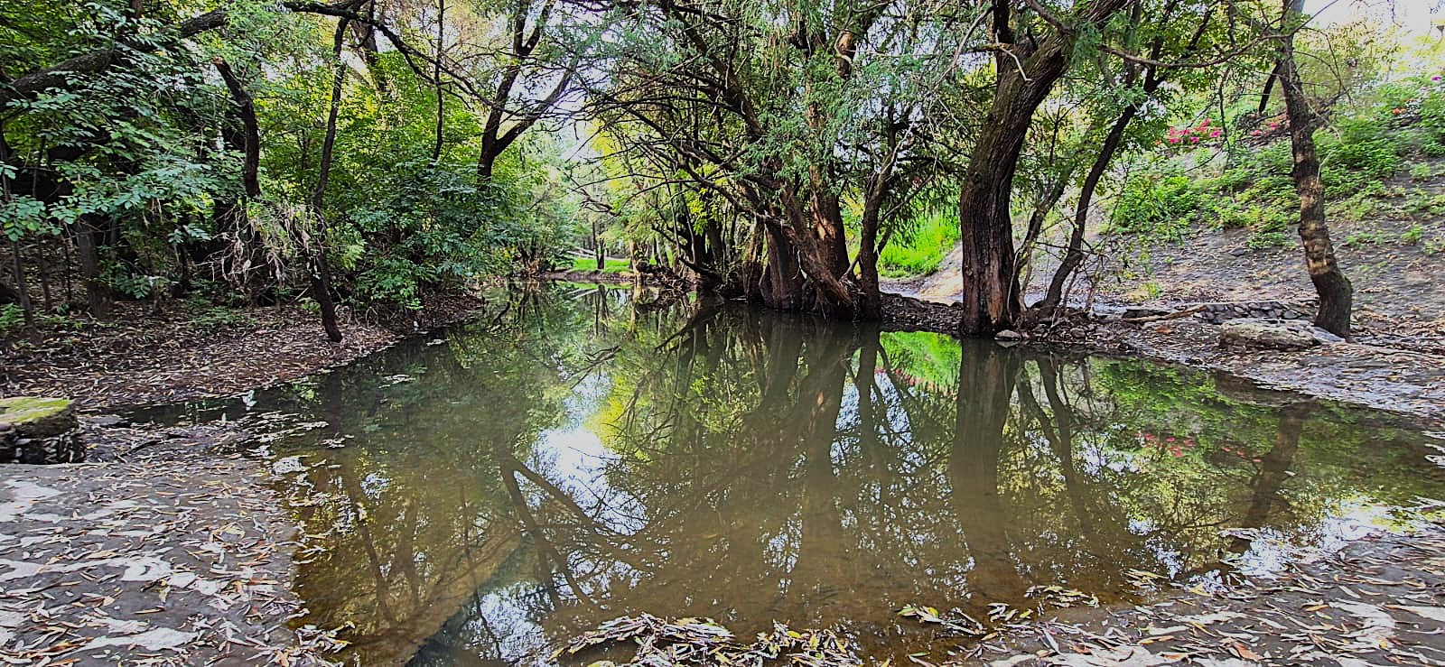 EL RÍO SAN JUAN, ALAMEDA URBANA