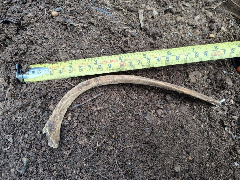 Más hallazgos de restos humanos en Barranca de Cocheros.