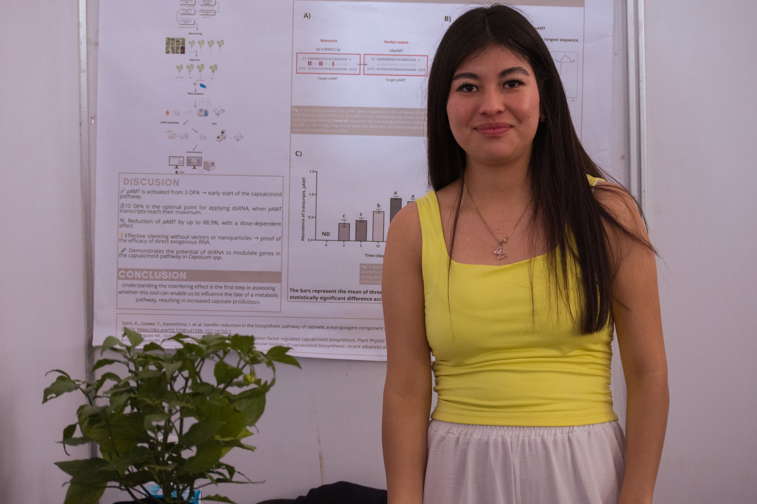 Investigadora de la UAQ busca disminuir picor del habanero y expandir su consumo