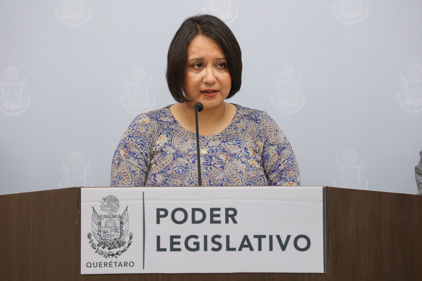 El agua para el pueblo y el campo, no a la industria: Sully Mauricio