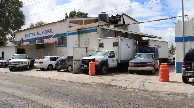 Aretado de ganado ya es obligatorio