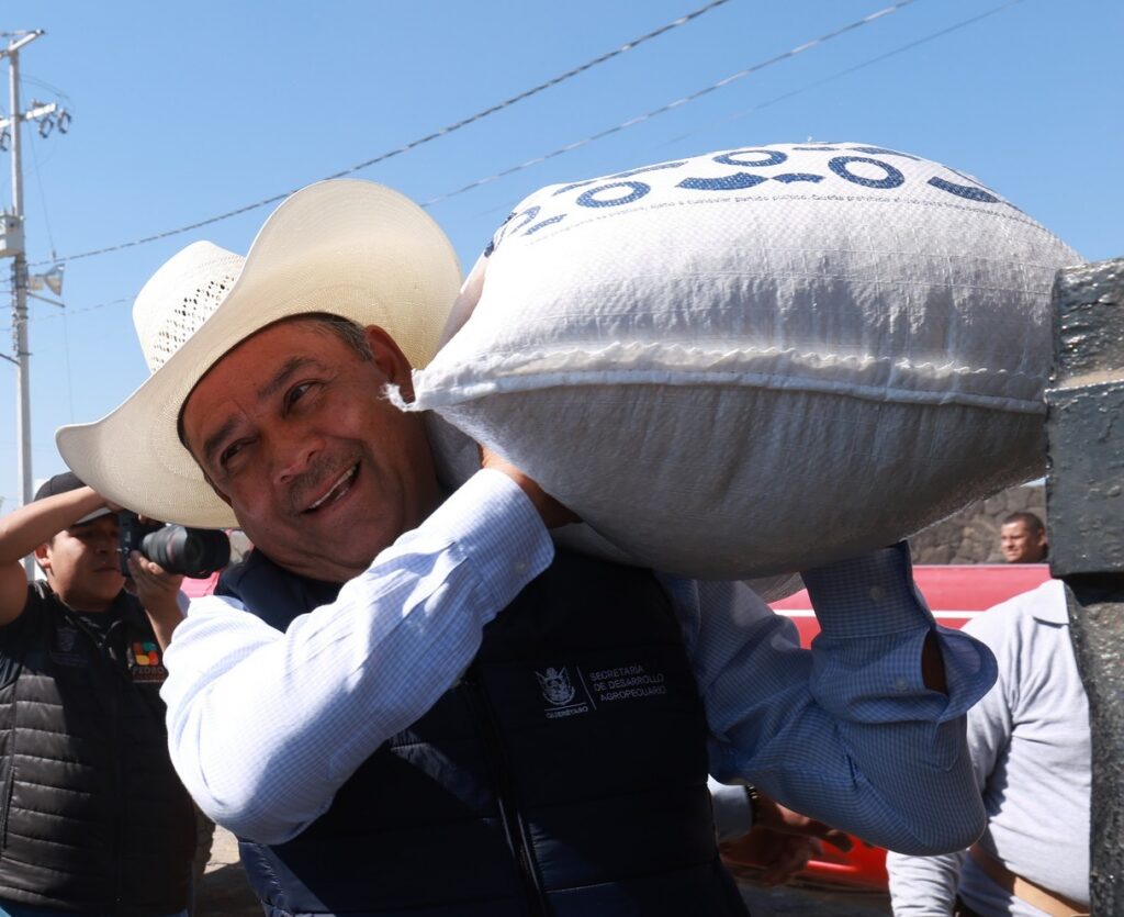 SEDEA sigue entregando Maíz Comestible
