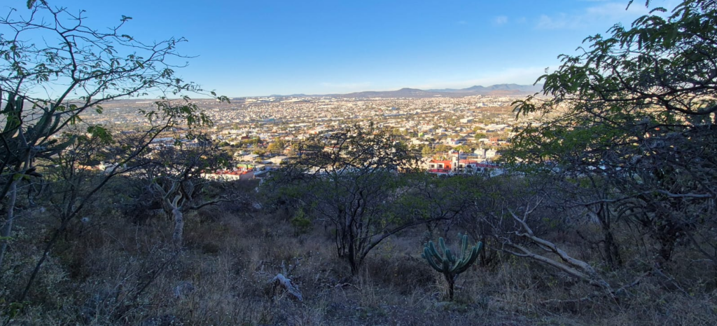 EL CRECIMIENTO EXIGE SERVICIOS EDUCACIÓN SALUD Y SERVICIOS: R. CABRERA