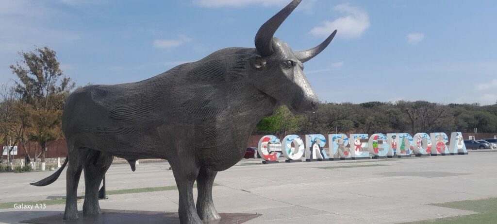 El paseo del buey en Peligro