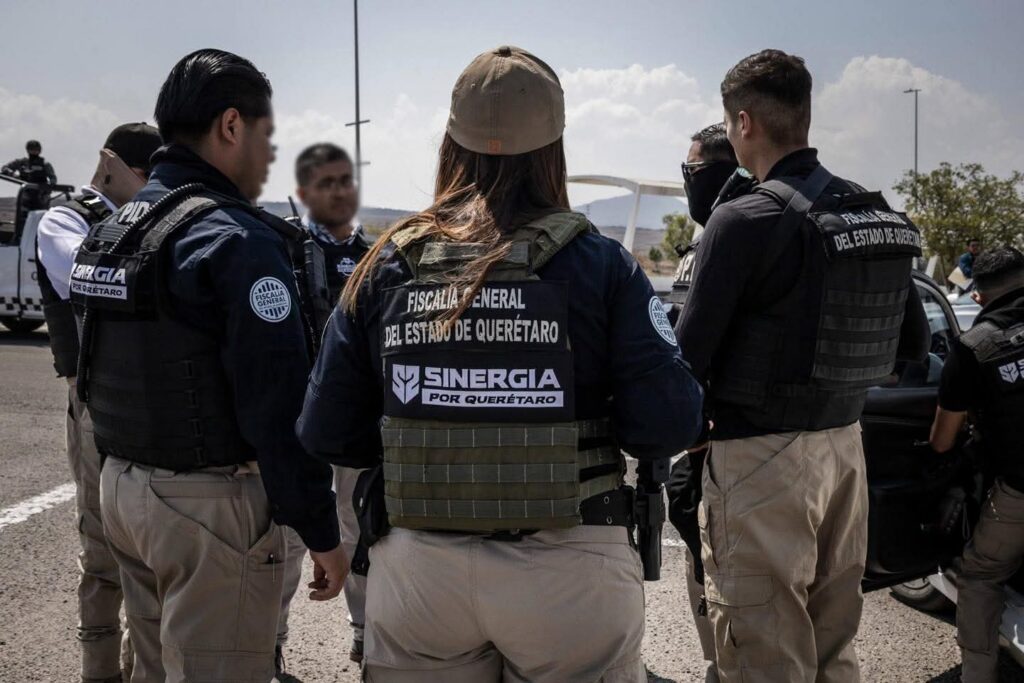 Rescatan a 33 perros tras cateo y detención en El Rodeo