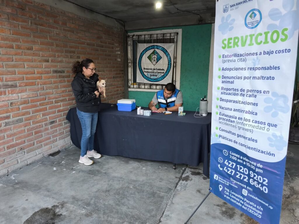 Habrá campañas gratuitas de esterilización animal en San Juan del Río