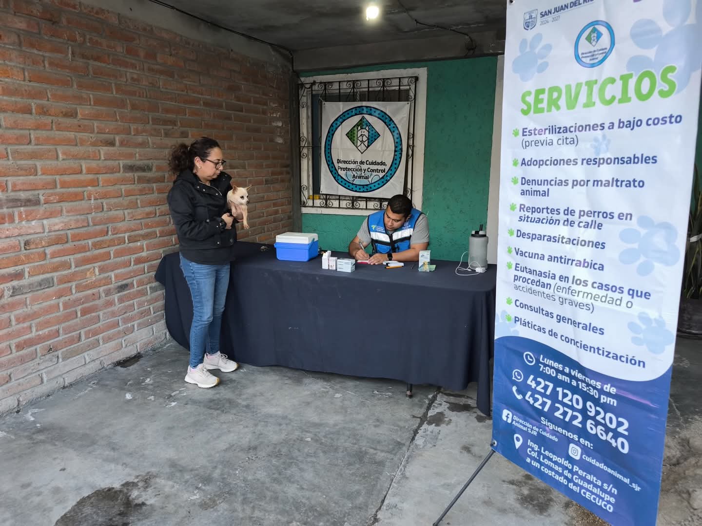 Habrá campañas gratuitas de esterilización animal en San Juan del Río