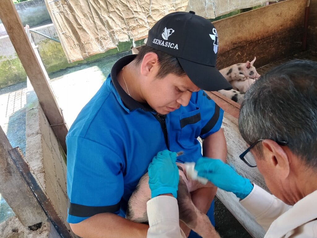 Segundo caso de gusano barrenador en perros de TX