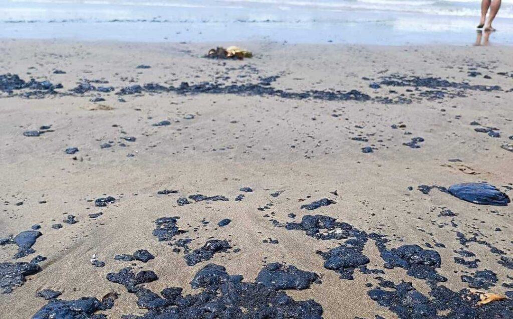 Contienen derrame de petróleo en las costas de Veracruz y Tabasco