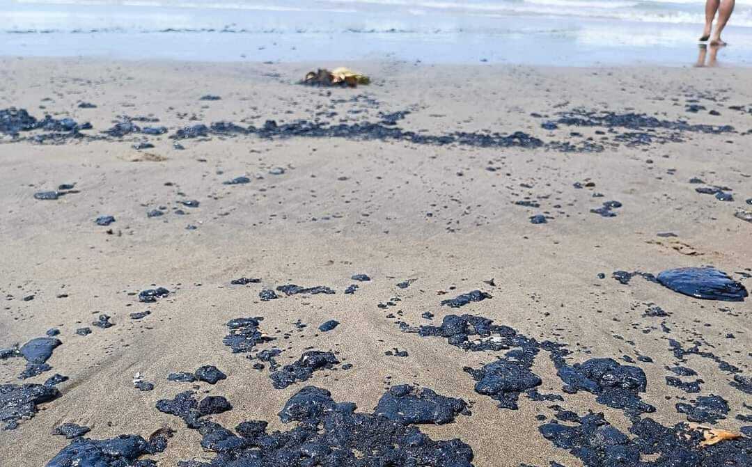 Contienen derrame de petróleo en las costas de Veracruz y Tabasco