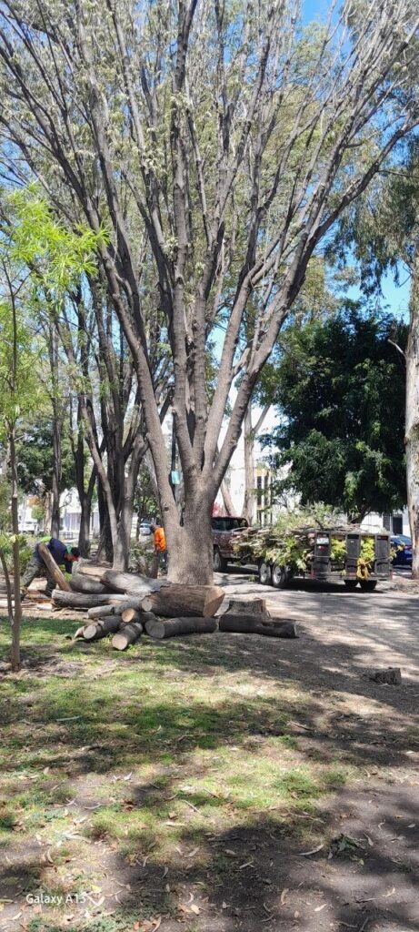 Va Municipio de Querétaro por el embellecimiento de parques y jardines