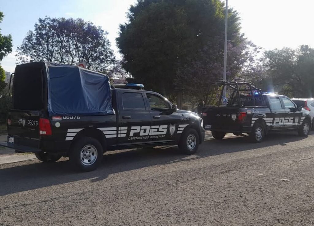 Localizan en San Juan a menor sustraída en Estados Unidos