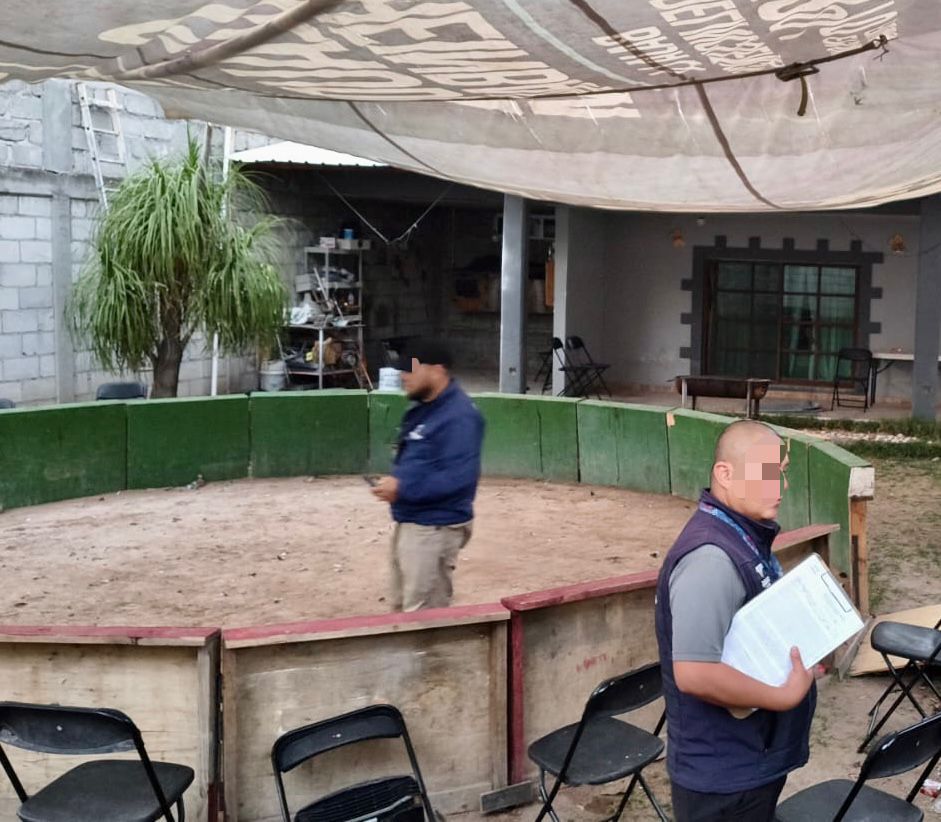 Clausuran palenque clandestino en El Salitre