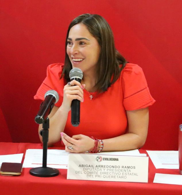 Desapariciones e Inseguridad tema en la ONU