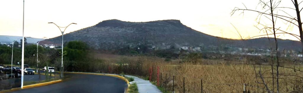 El Cerro de la Venta: los Incendios y el reto social