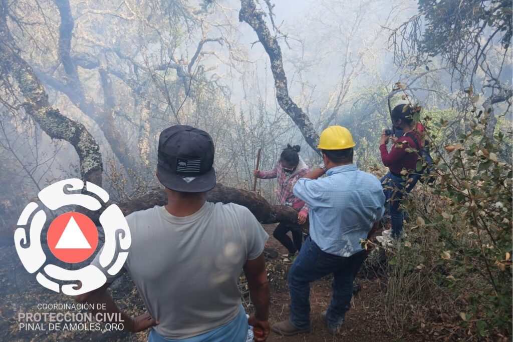 Incendio forestal en Ejido Cuatro Palos, Pinal de Amoles