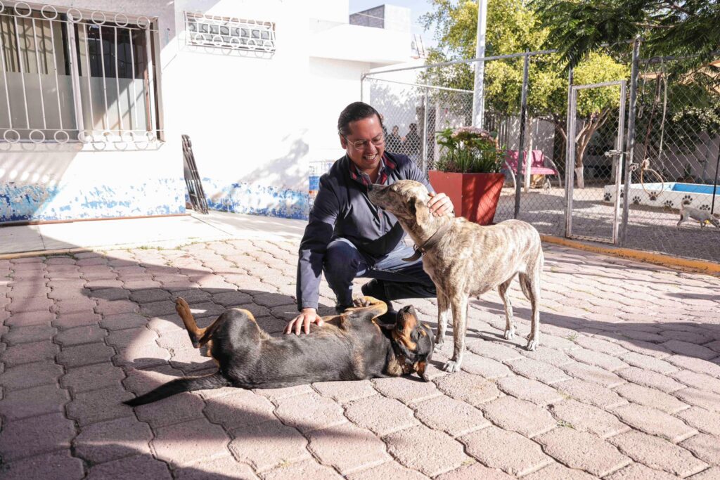 Chepe Guerrero anuncia clínica veterinaria en Corregidora