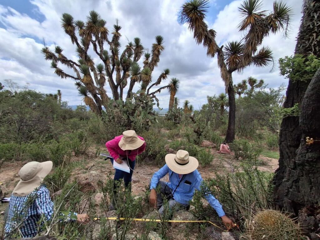 Nuevos hallazgos arqueológicos en SJR.