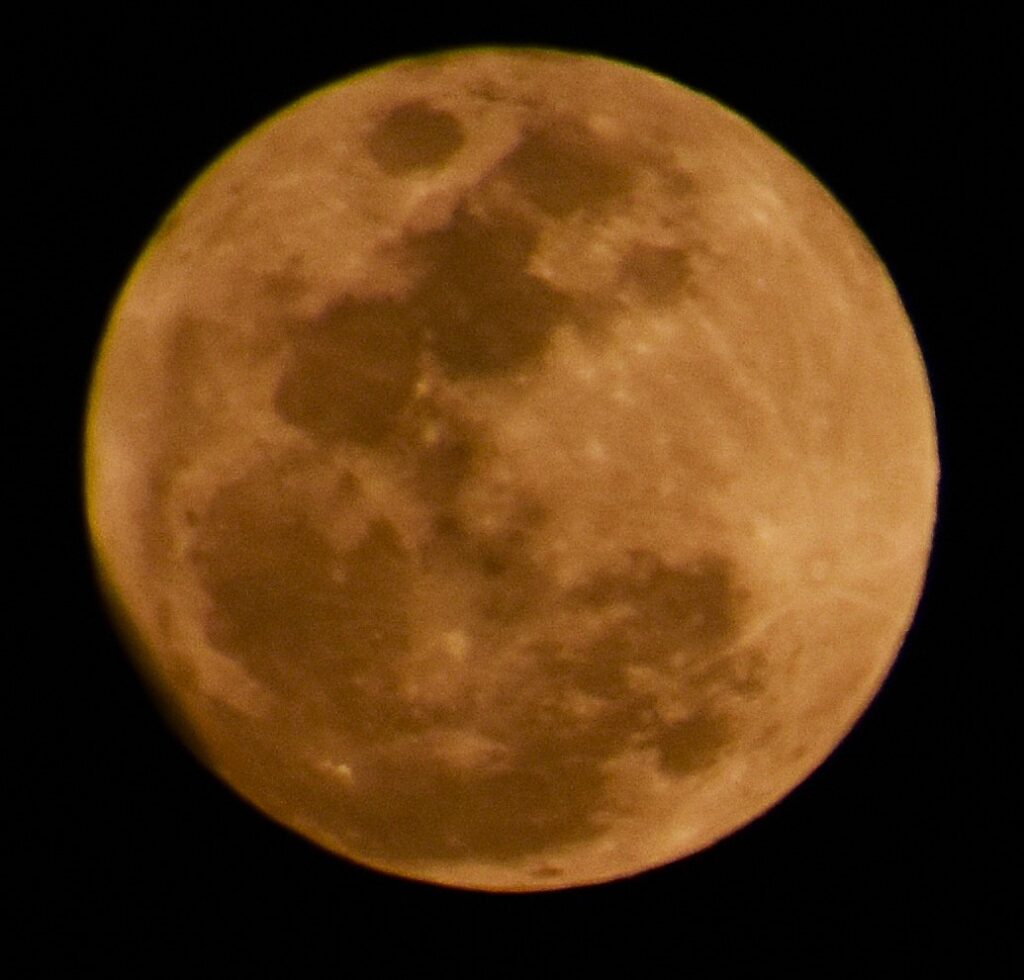 La Luna rosa o luna de los brotes