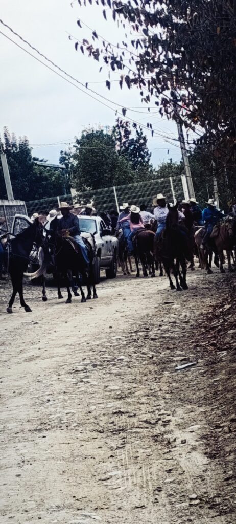 Accidente en jaripeo de Jalpan: toro arrastra a hombre