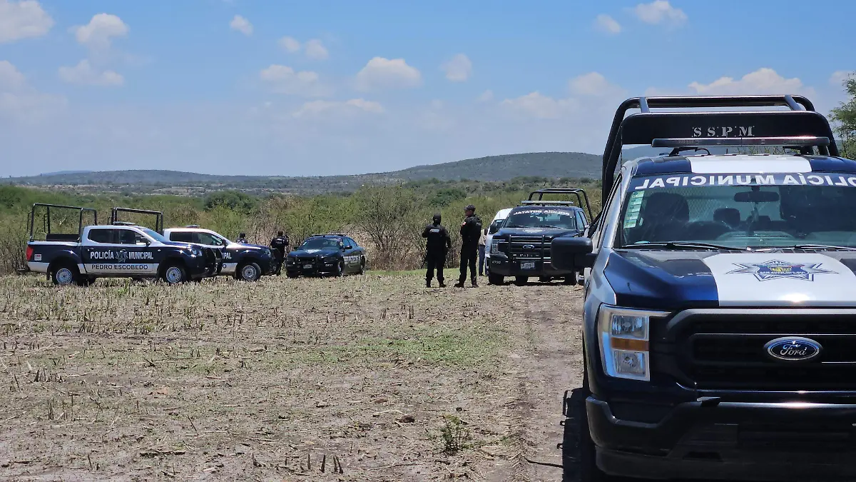 Localizan presunta osamenta en Pedro Escobedo, Querétaro