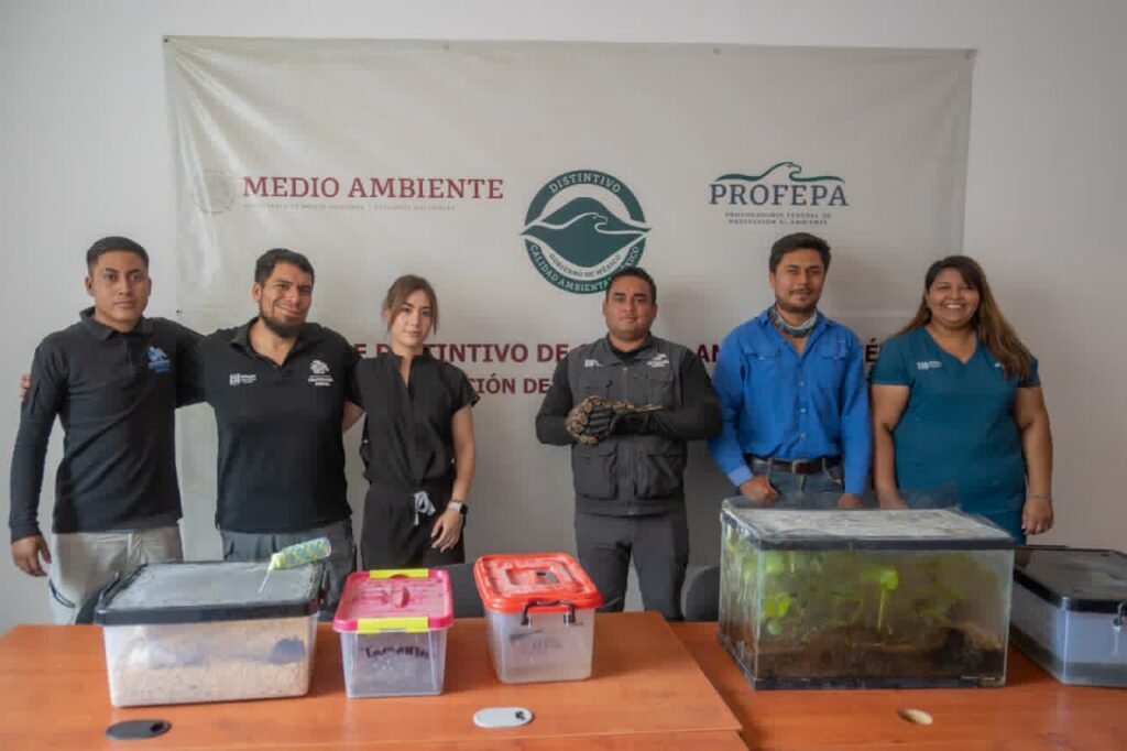Aseguran fauna exótica en casa de El Marqués