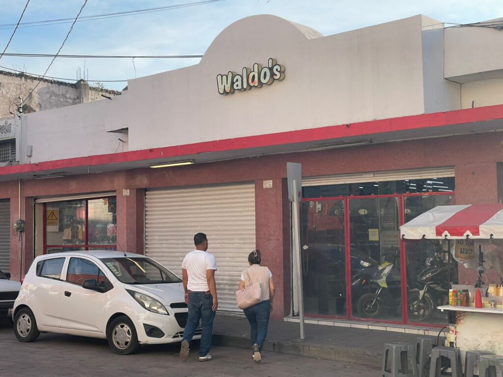 Fuertes vientos dejaron sin luz y provocaron caída de árboles