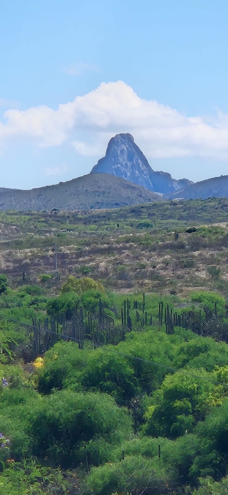 Reencarpetan el camino Tunas Blancas–Bernal