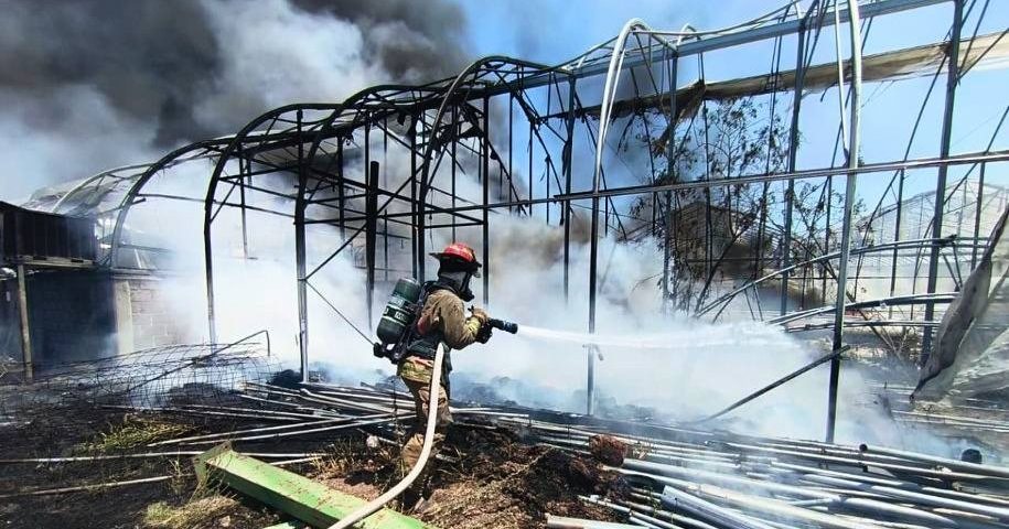 Sofocan incendio en invernadero La Bonita en Colón, Qro.