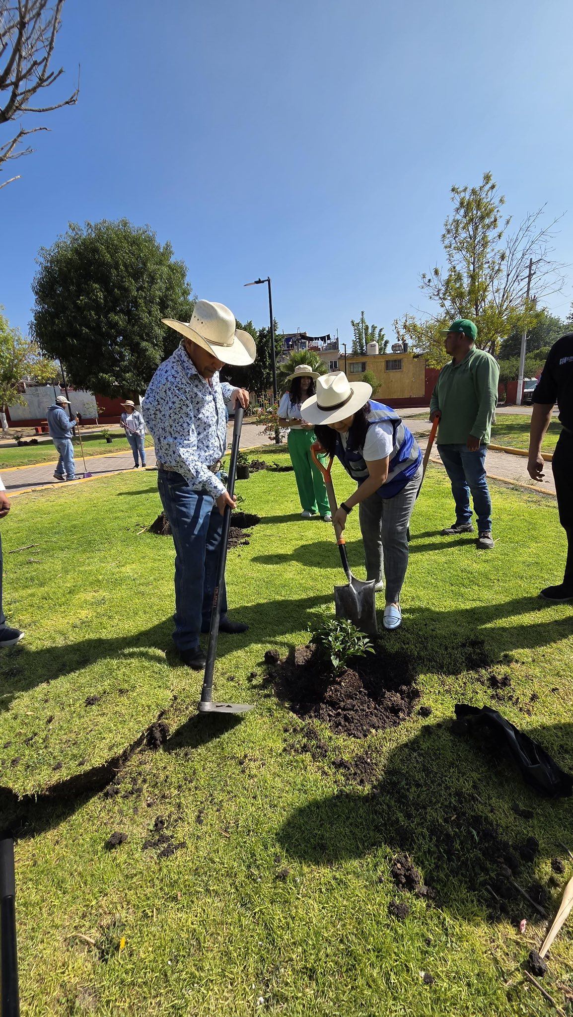 El Marqués rehabilita áreas verdes de El Colorado