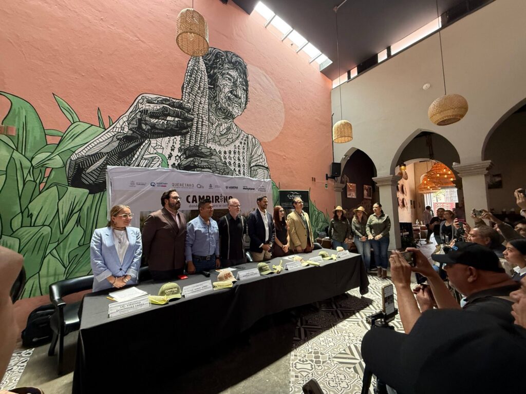 Huimilpan presenta el laberinto de maíz más grande de México