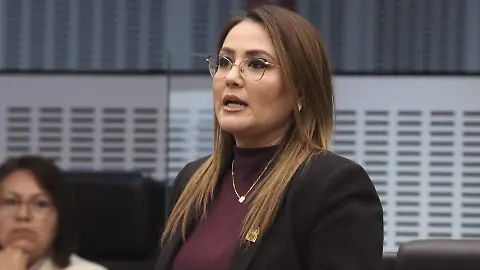 Diputada Claudia Díaz informa sobre Cuenta Pública 2024