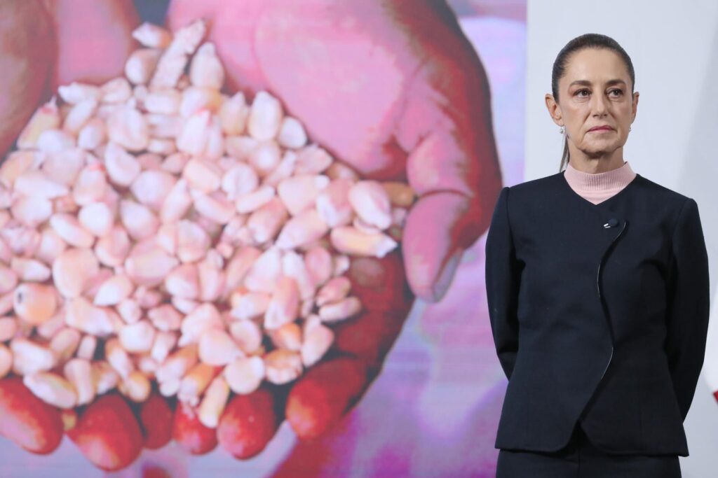 Críticas al programa Precio Justo de Maíz de Sheinbaum