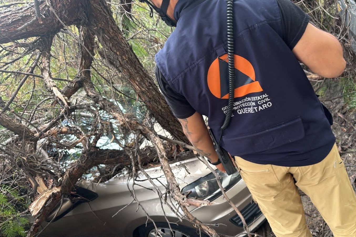 Lluvias en Querétaro provocan caída de árbol y plafón