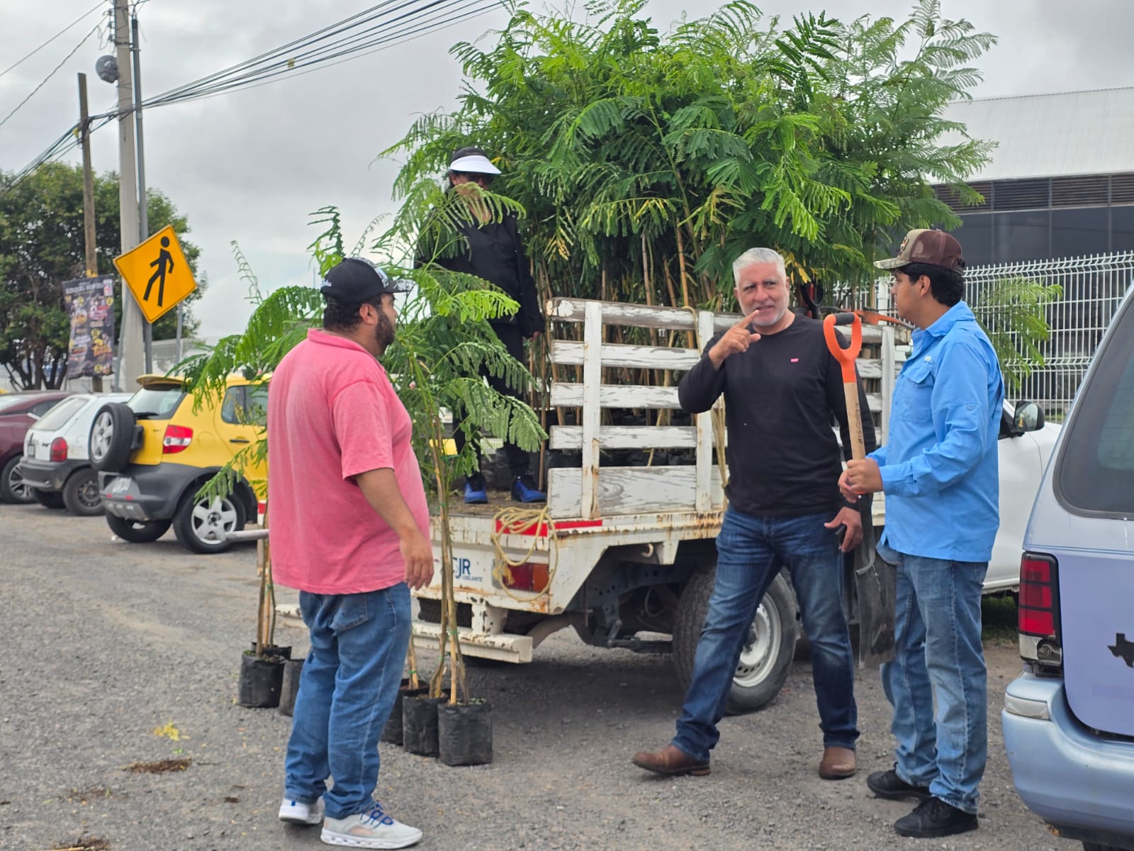 Continúan las reforestaciones en San Juan del Río.