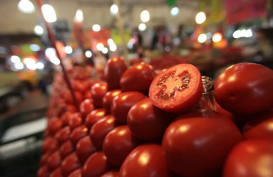 Precio del jitomate baja a 30 pesos en mercados nacionales