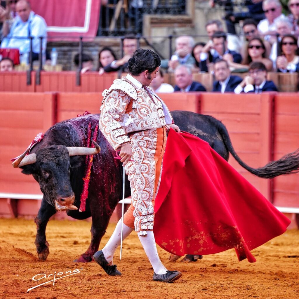 Sevillanía: Tradiciones y valores de la identidad española